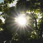 Kita Semua Akan Menghadap Allah